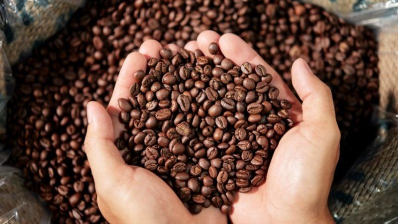 Pourquoi passer au café en grain ? 7 arguments incontournables