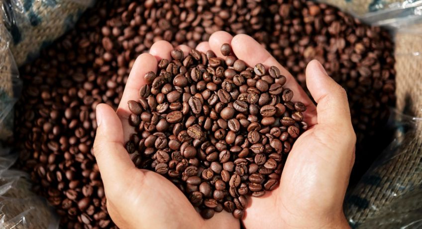 Pourquoi passer au café en grain ? 7 arguments incontournables