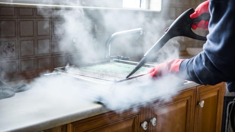 Les Avantages du Traitement Thermique Contre les Infestations