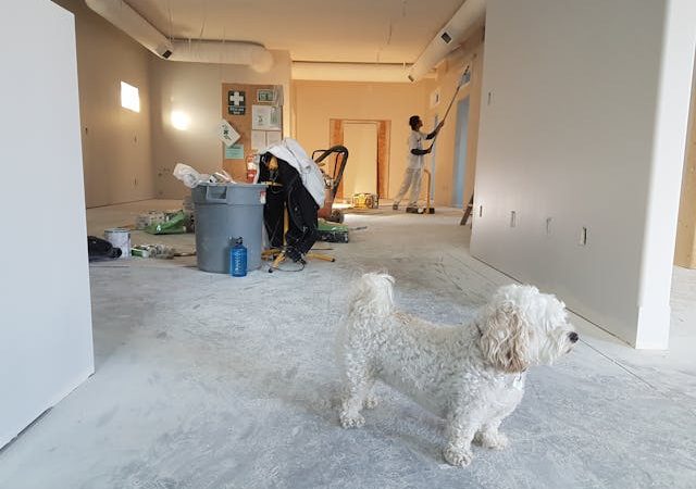 Guide pratique pour la rénovation d’un appartement