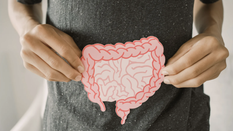 Le SIBO, une maladie digestive encore trop méconnue